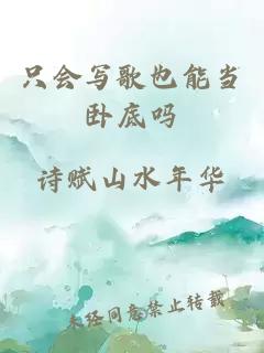 只会写歌也能当卧底吗